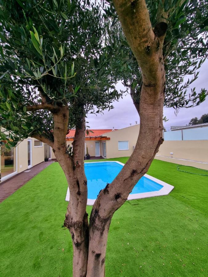 Villas Com Piscina Vila Nova de Gaia Exteriér fotografie