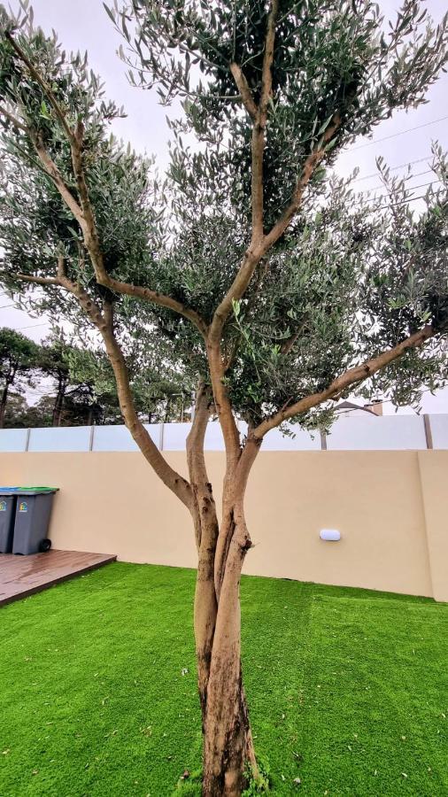Villas Com Piscina Vila Nova de Gaia Exteriér fotografie
